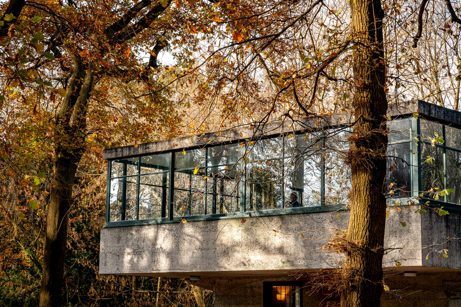 Casa de vidrio entre árboles de otoño