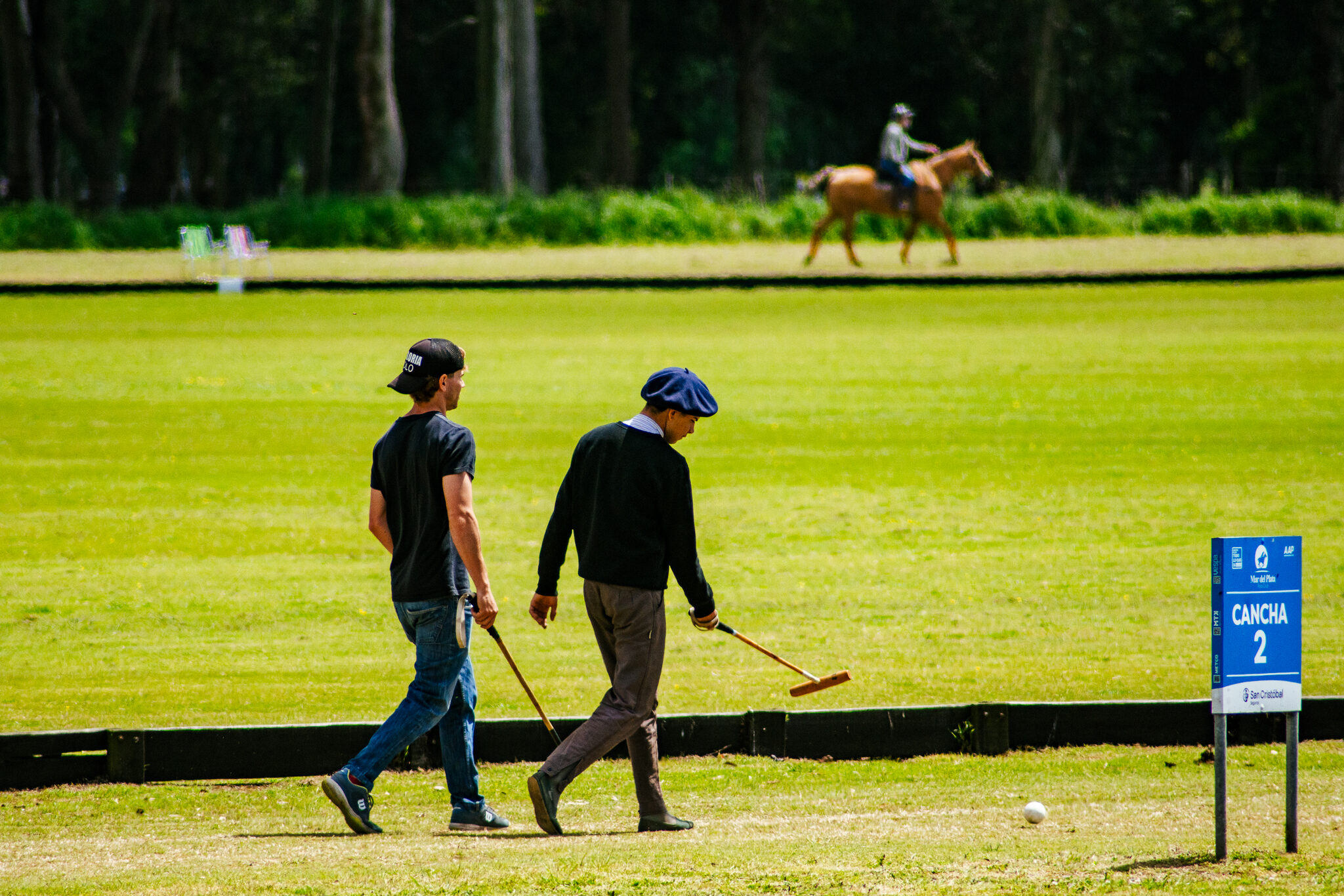 Jugadores de polo caminando entre caballos
