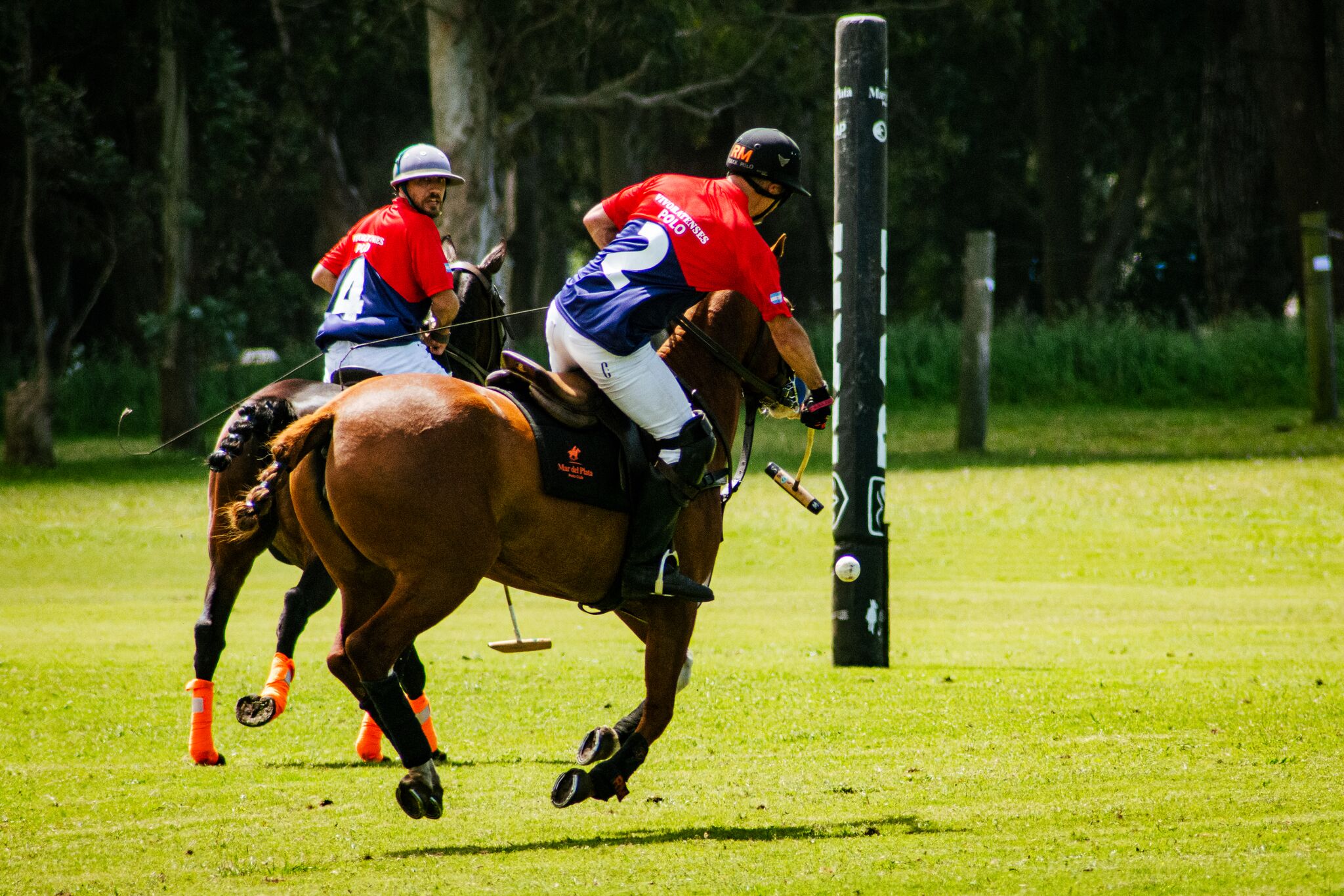 Dos jugadores de polo, casacas roja y azul, en la jugada junto al poste