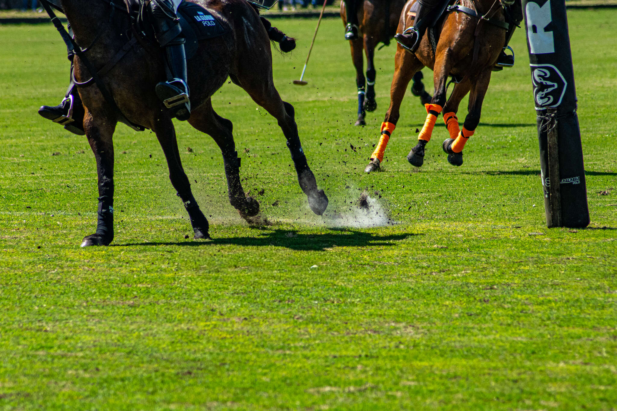 Cascos de caballos levantando tierra en el pique, polo