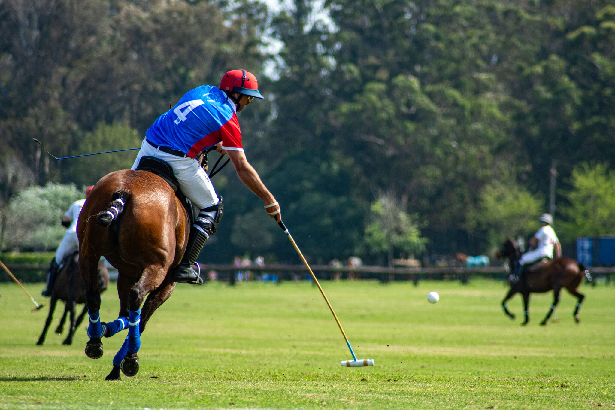 Jugador de polo de casaca azul golpeando la pelota en pleno galope